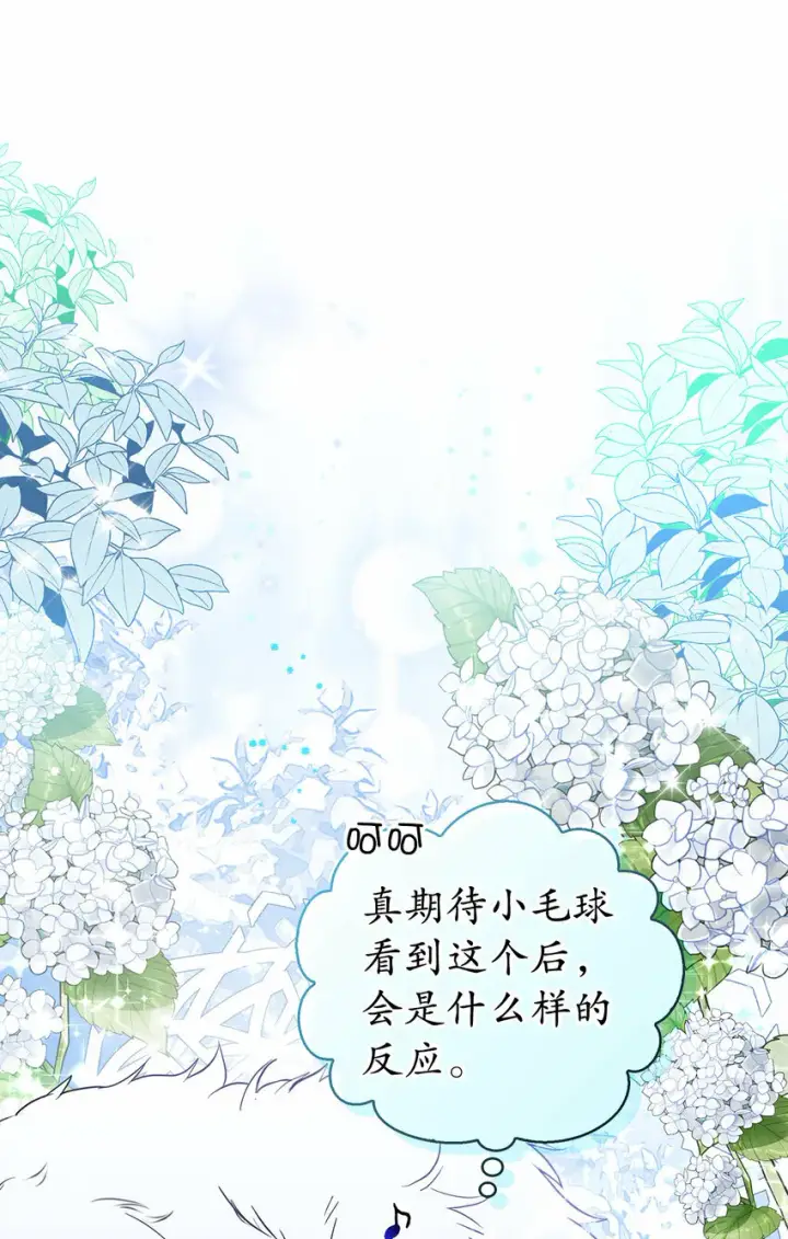 漫画《狮子公爵家的松鼠千金》13 星座大人降临第14张图