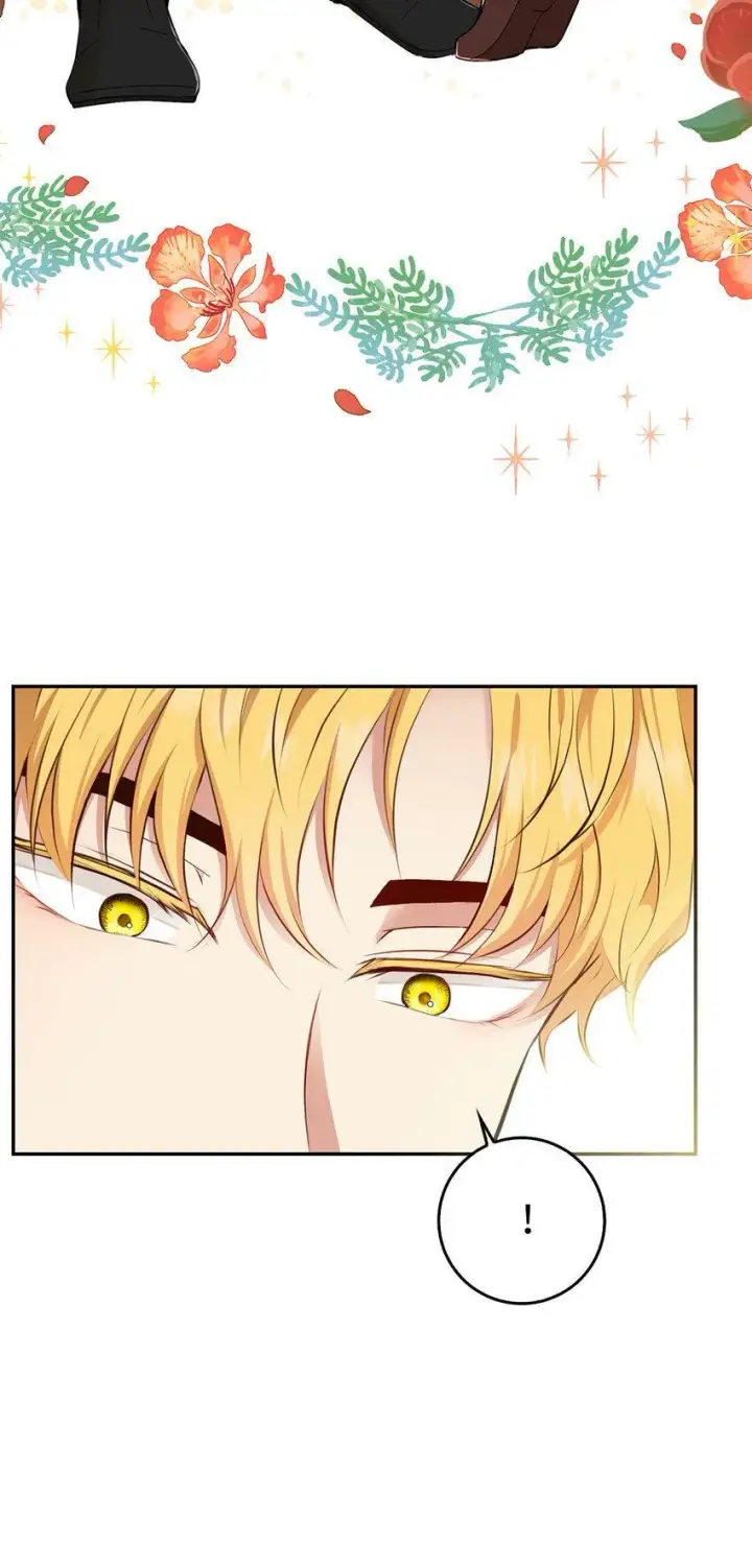 漫画《狮子公爵家的松鼠千金》21 被误解的礼物第74张图