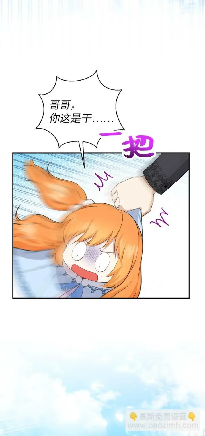 漫画《狮子公爵家的松鼠千金》27 完美的方案第54张图
