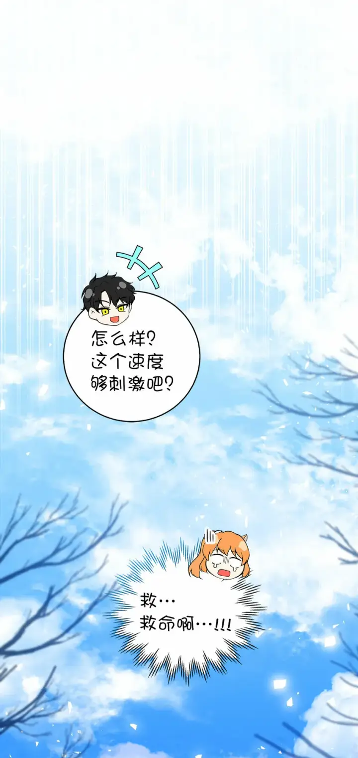 漫画《狮子公爵家的松鼠千金》27 完美的方案第62张图