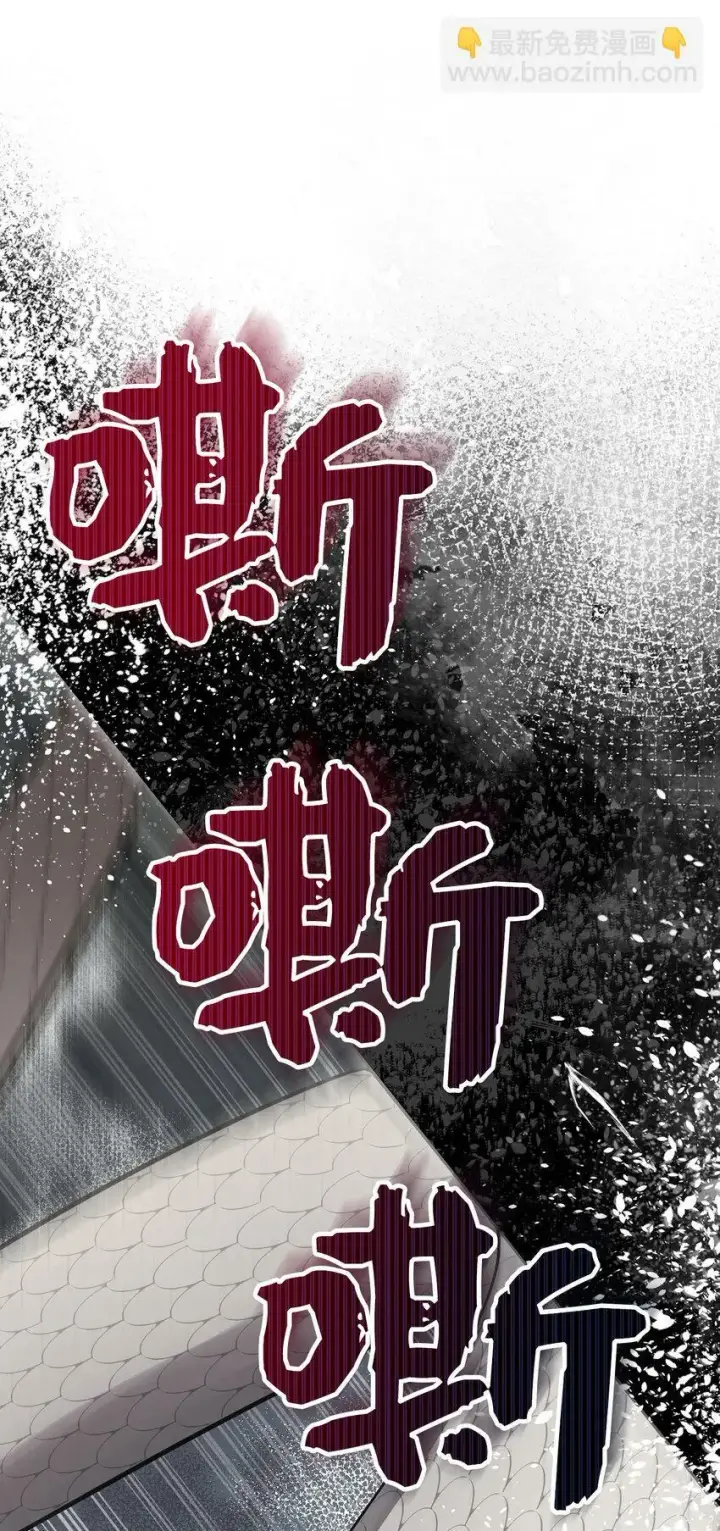漫画《狮子公爵家的松鼠千金》28 谢谢你，哥哥第33张图