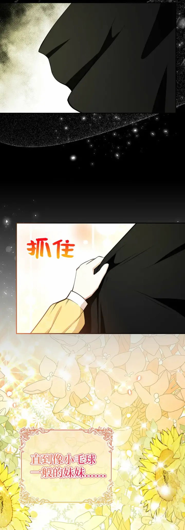 漫画《狮子公爵家的松鼠千金》29 小毛球一般的妹妹第10张图