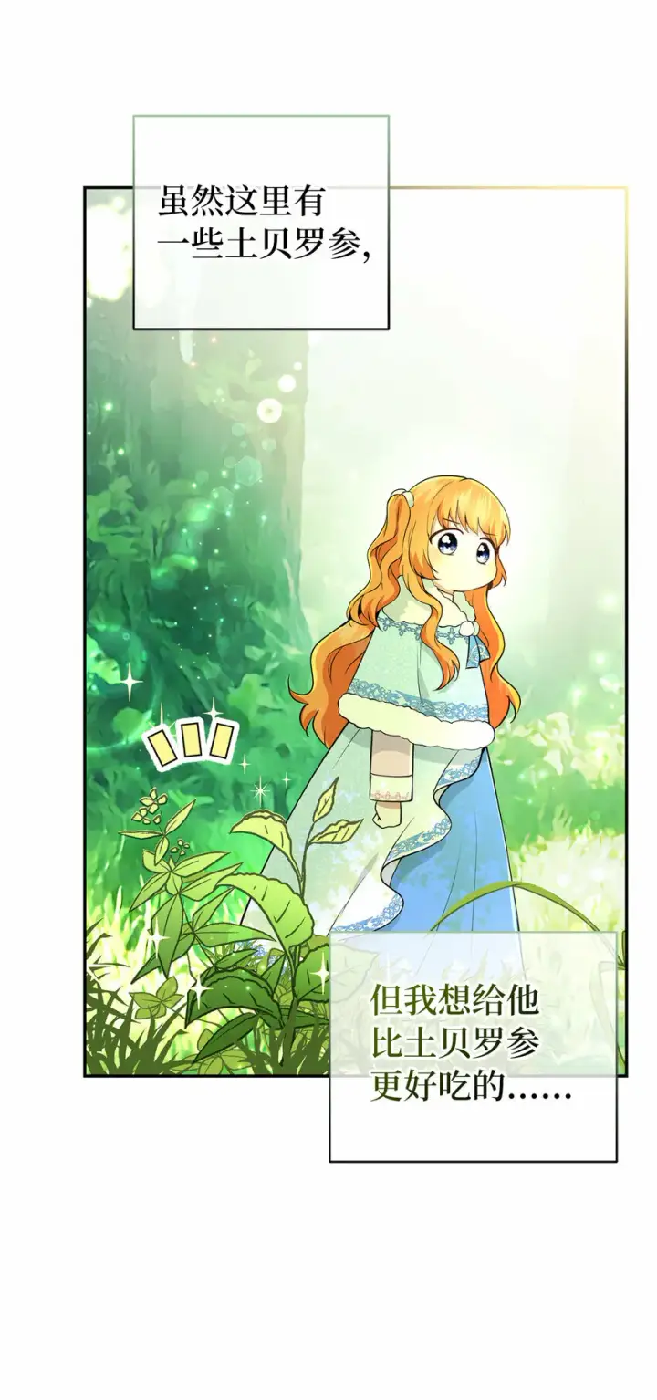 漫画《狮子公爵家的松鼠千金》29 小毛球一般的妹妹第24张图