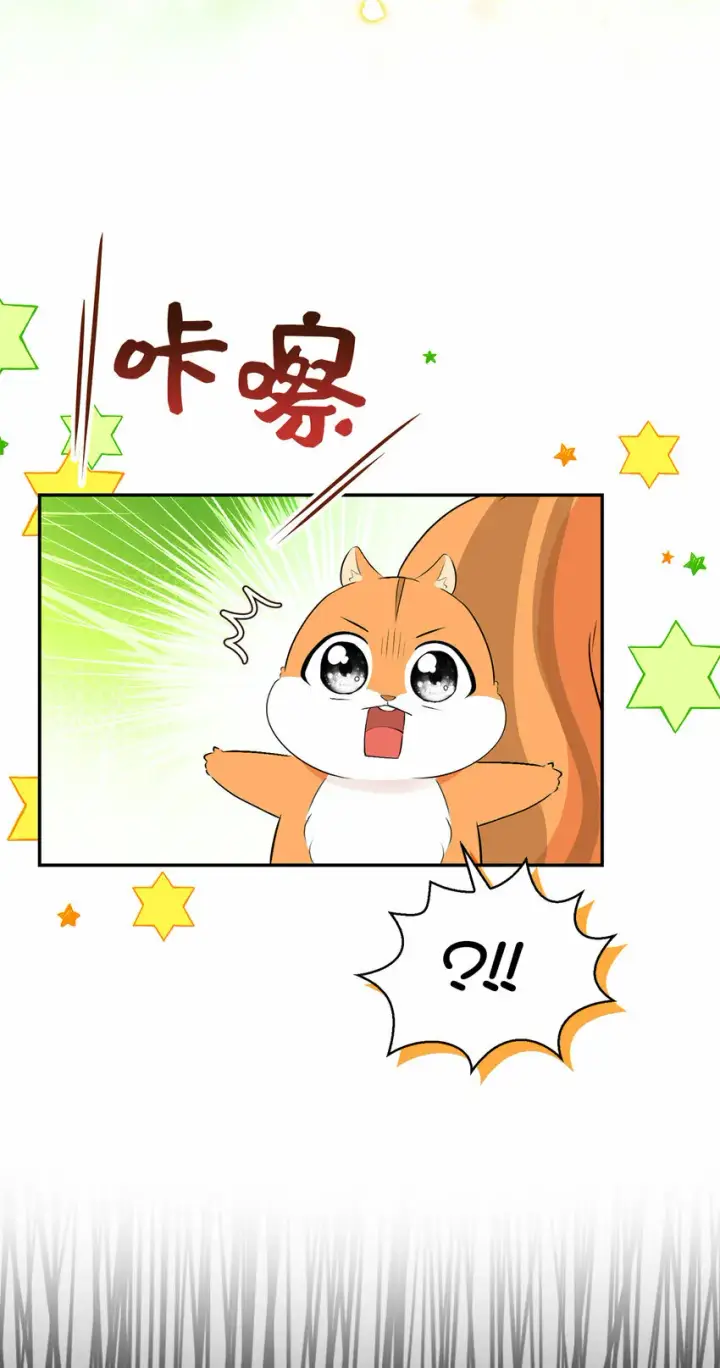 漫画《狮子公爵家的松鼠千金》29 小毛球一般的妹妹第42张图