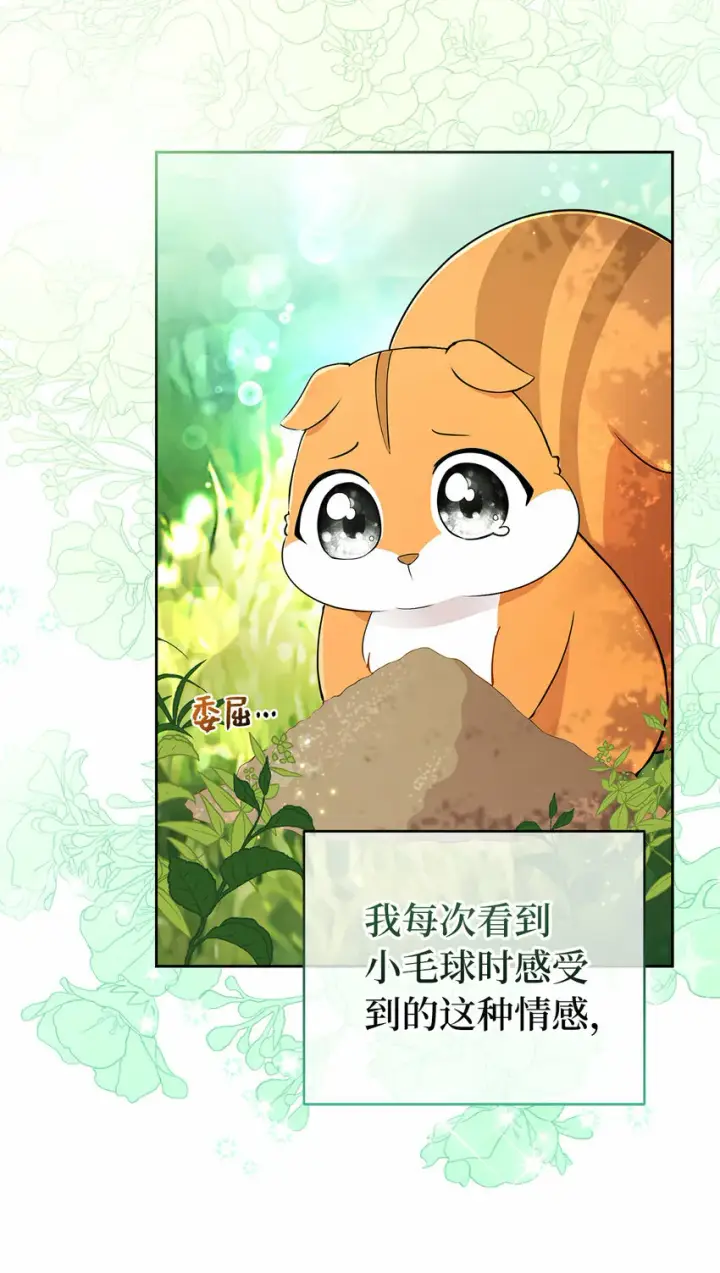 漫画《狮子公爵家的松鼠千金》29 小毛球一般的妹妹第47张图