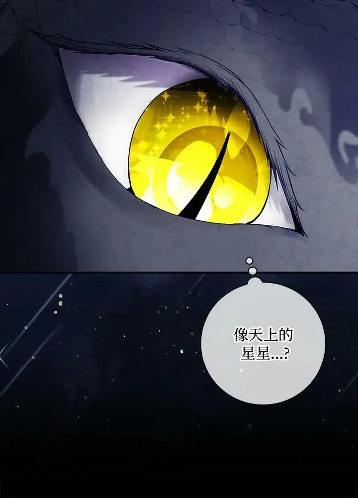 漫画《狮子公爵家的松鼠千金》第31话第70张图