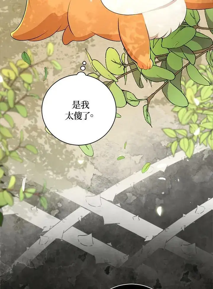 漫画《狮子公爵家的松鼠千金》第36话第60张图