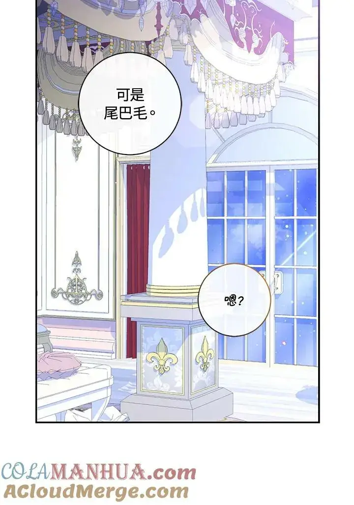 漫画《狮子公爵家的松鼠千金》第38话第25张图