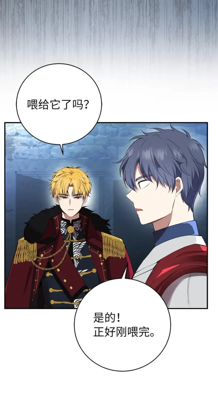 漫画《狮子公爵家的松鼠千金》40 招惹阿斯兰的后果第60张图