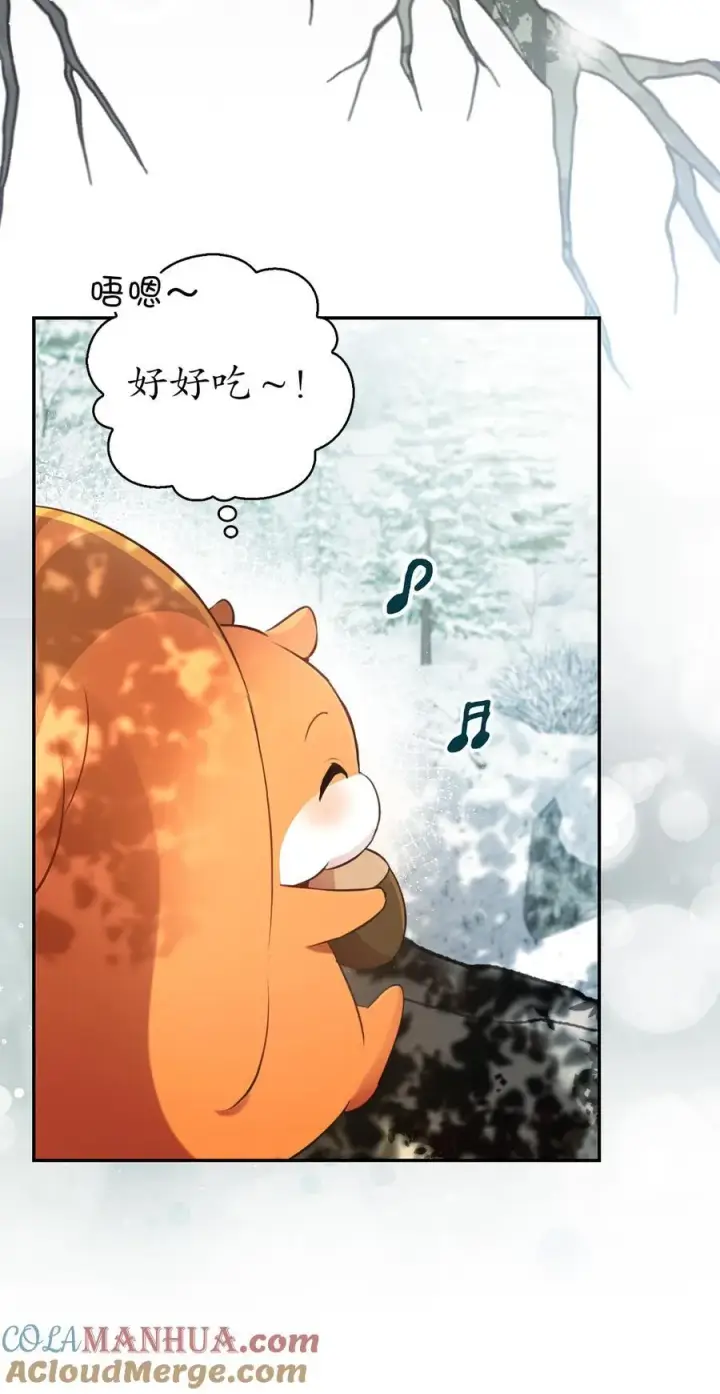 漫画《狮子公爵家的松鼠千金》48 密会第34张图