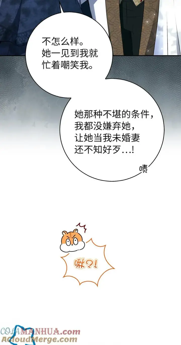 漫画《狮子公爵家的松鼠千金》48 密会第43张图