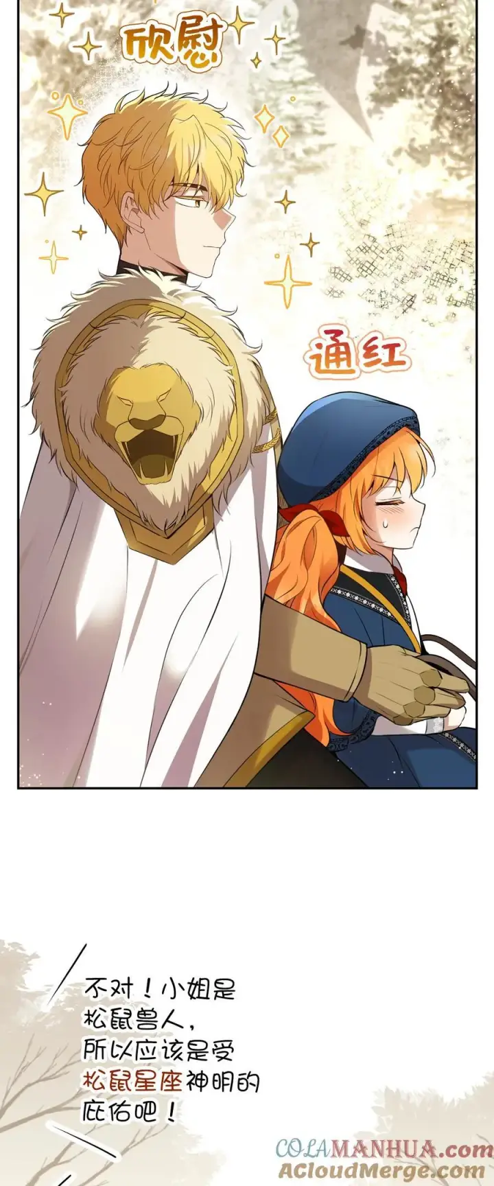 漫画《狮子公爵家的松鼠千金》51 满载而归第34张图