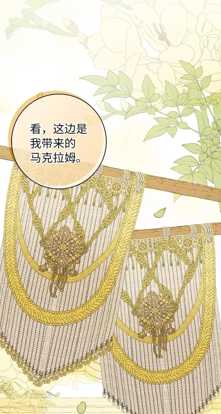 漫画《狮子公爵家的松鼠千金》58 商铺正式开业第62张图