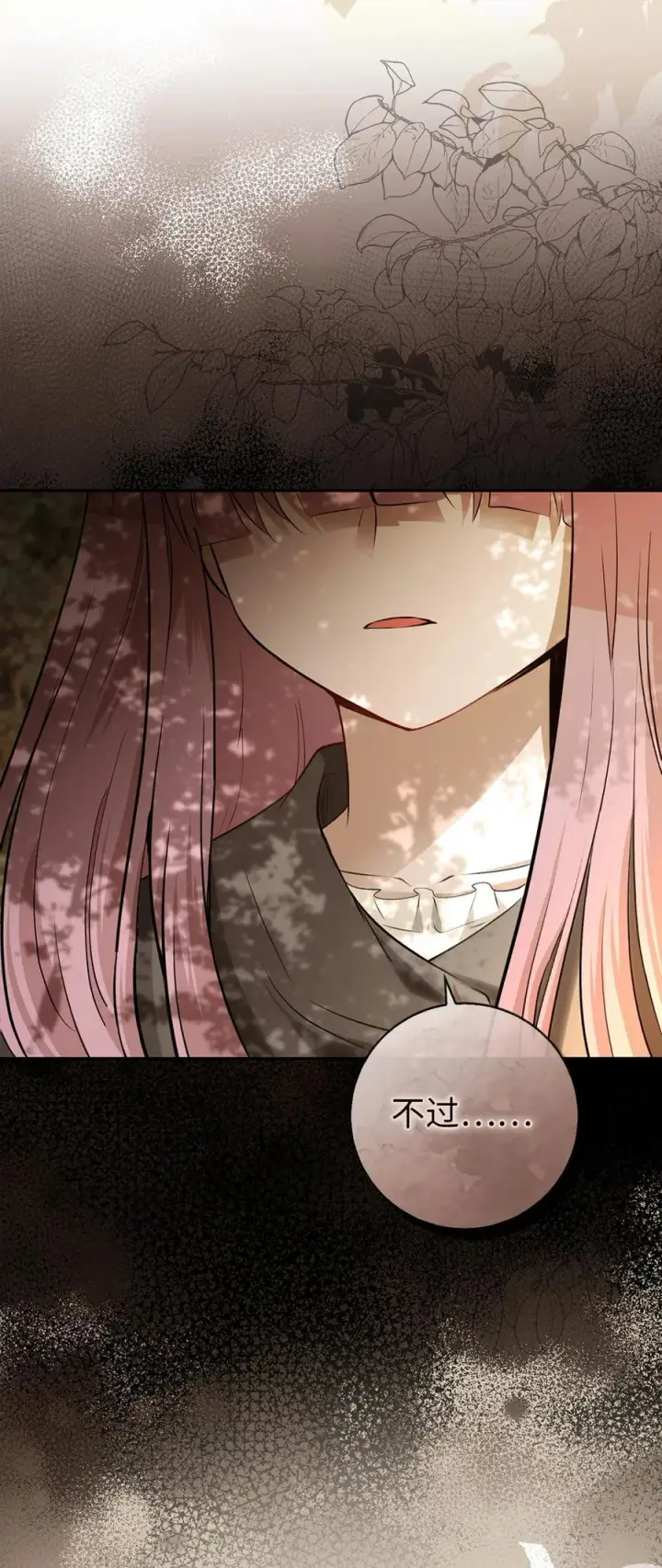 漫画《狮子公爵家的松鼠千金》60 可怜的双胞胎第38张图