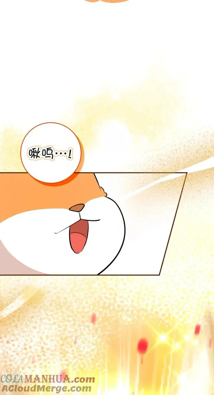 漫画《狮子公爵家的松鼠千金》62 第一次觉醒第25张图
