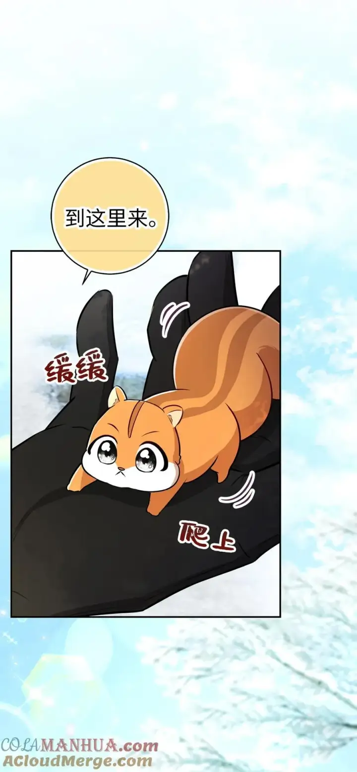 漫画《狮子公爵家的松鼠千金》62 第一次觉醒第31张图