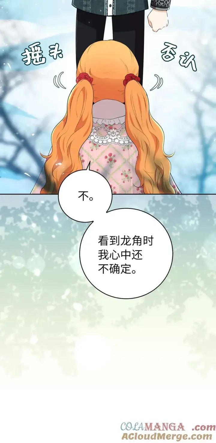 漫画《狮子公爵家的松鼠千金》68 害怕被讨厌的大皇子第43张图