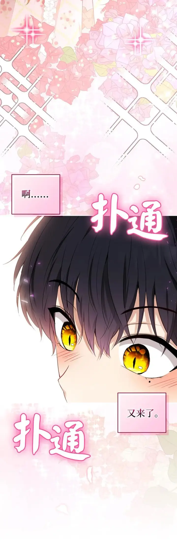 漫画《狮子公爵家的松鼠千金》68 害怕被讨厌的大皇子第47张图
