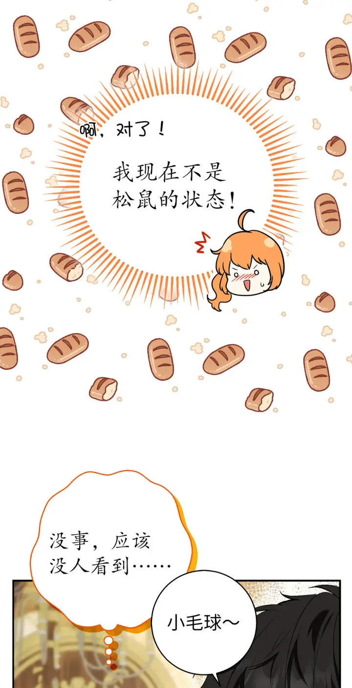 漫画《狮子公爵家的松鼠千金》72 小松鼠夸夸团上线第28张图