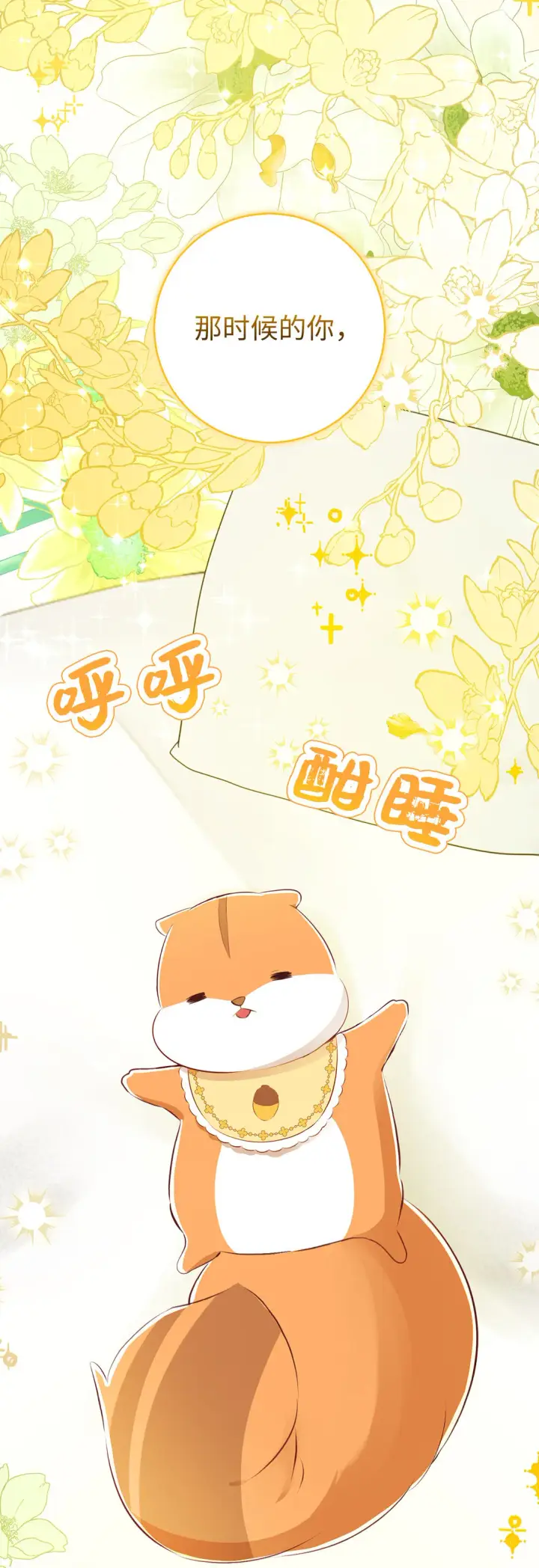 漫画《狮子公爵家的松鼠千金》72 小松鼠夸夸团上线第53张图