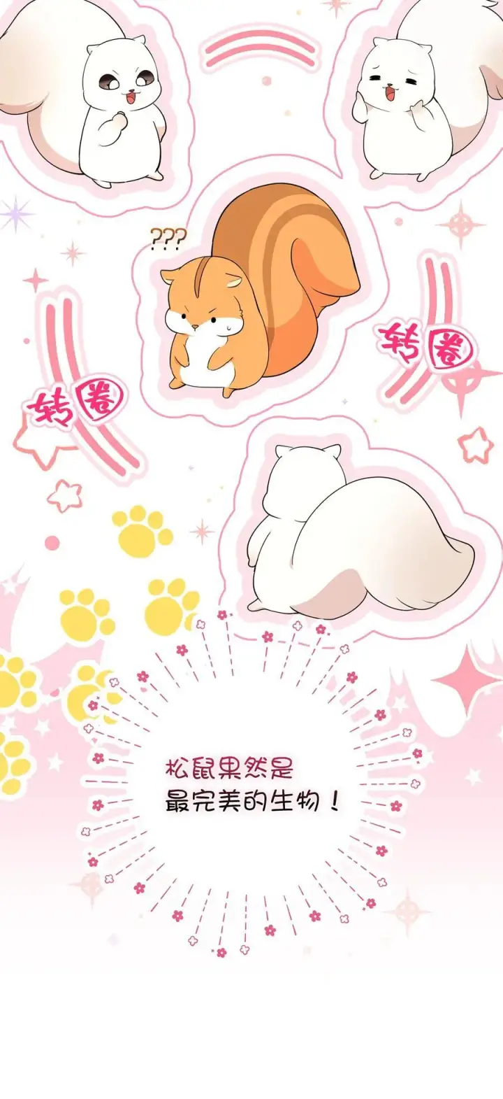 漫画《狮子公爵家的松鼠千金》74 松鼠兽人的能力第17张图
