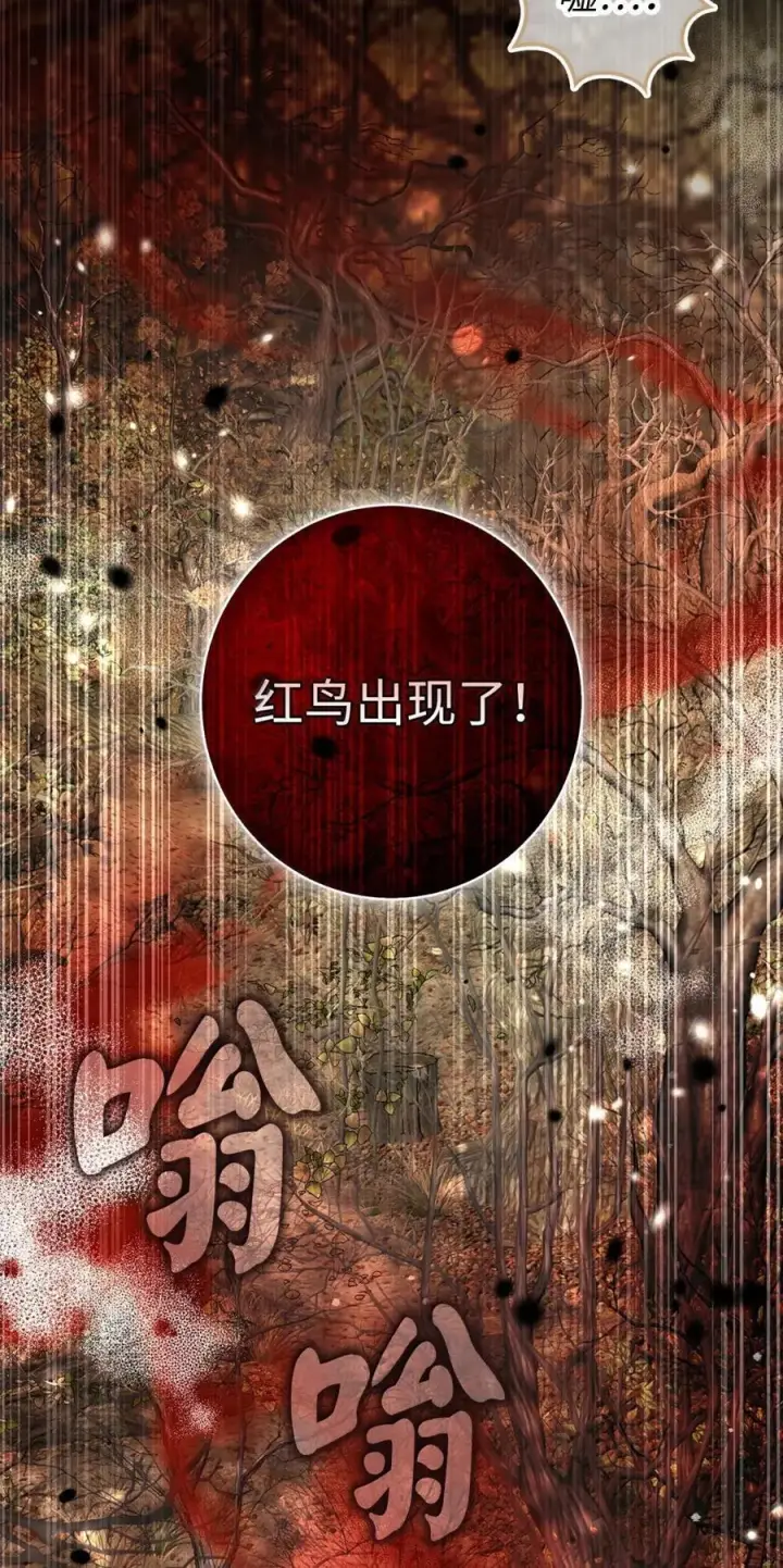漫画《狮子公爵家的松鼠千金》96 意外得知的秘密第44张图