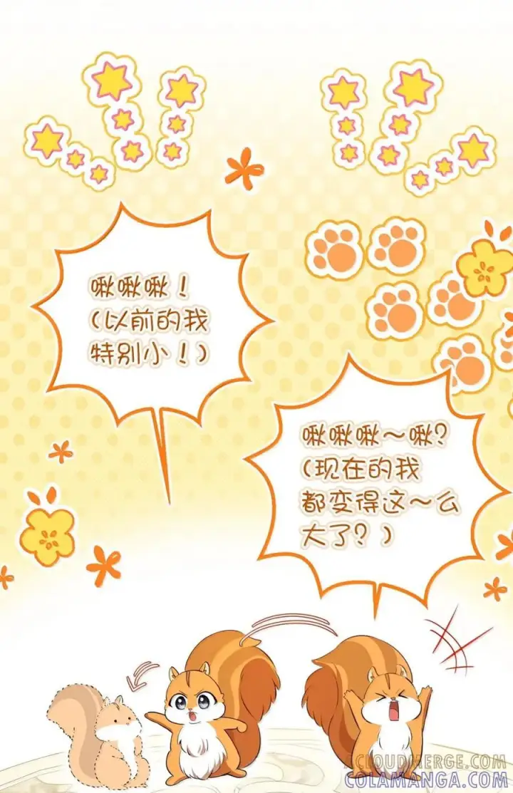 漫画《狮子公爵家的松鼠千金》100 我真的长高了！第34张图