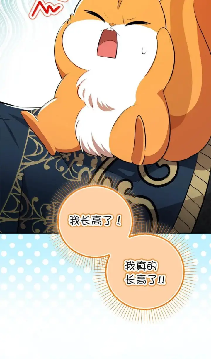 漫画《狮子公爵家的松鼠千金》100 我真的长高了！第44张图