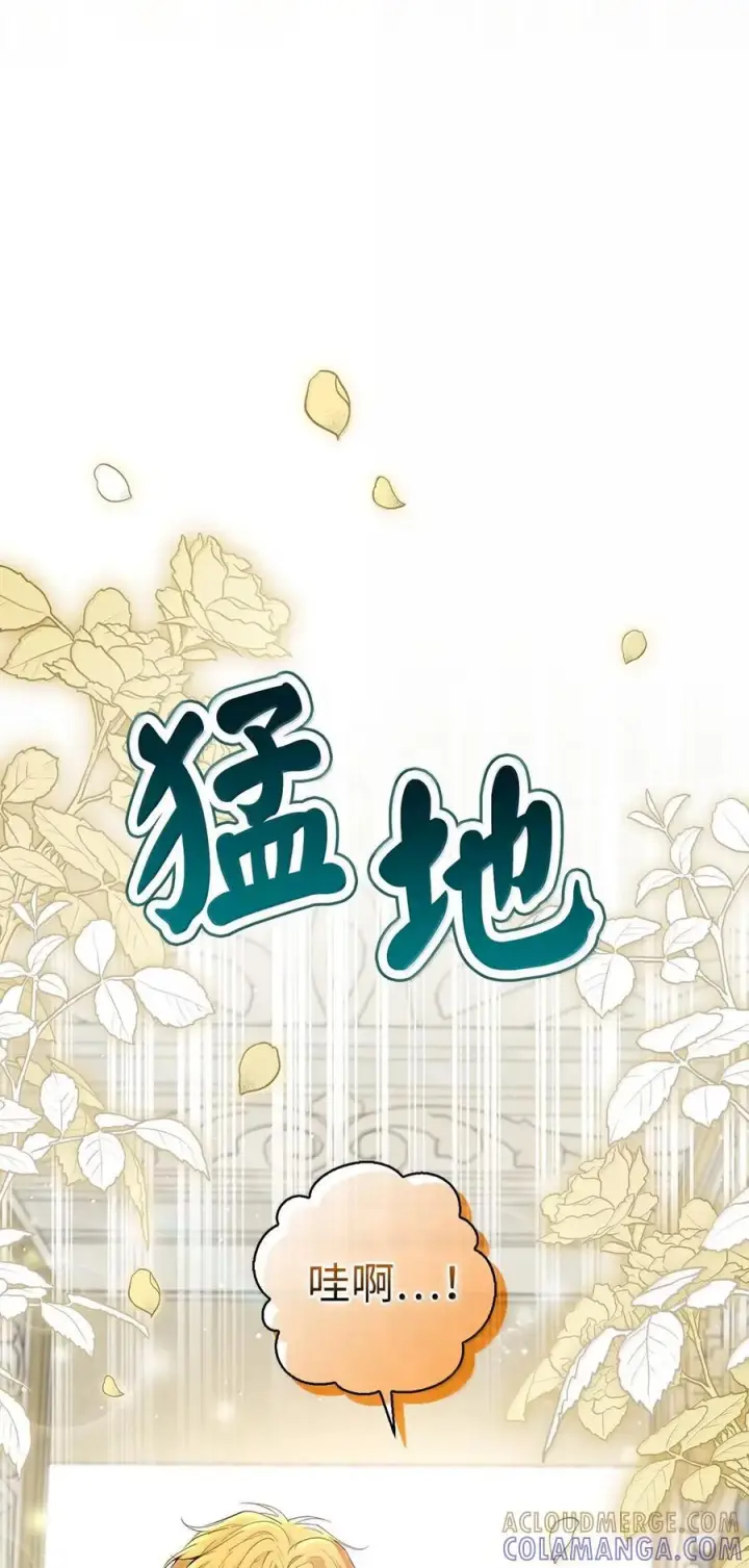 漫画《狮子公爵家的松鼠千金》86 故地重游第43张图