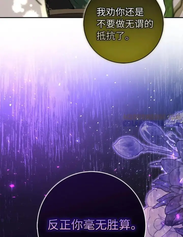 漫画《狮子公爵家的松鼠千金》102 你到底是谁第96张图