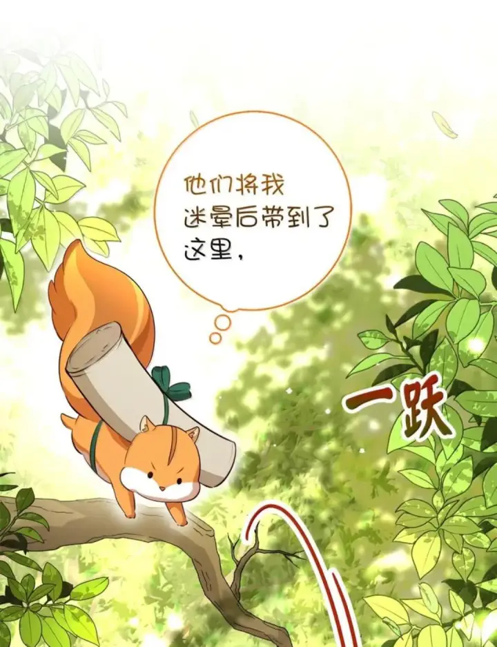 漫画《狮子公爵家的松鼠千金》106 查理公子和传闻不一样第11张图