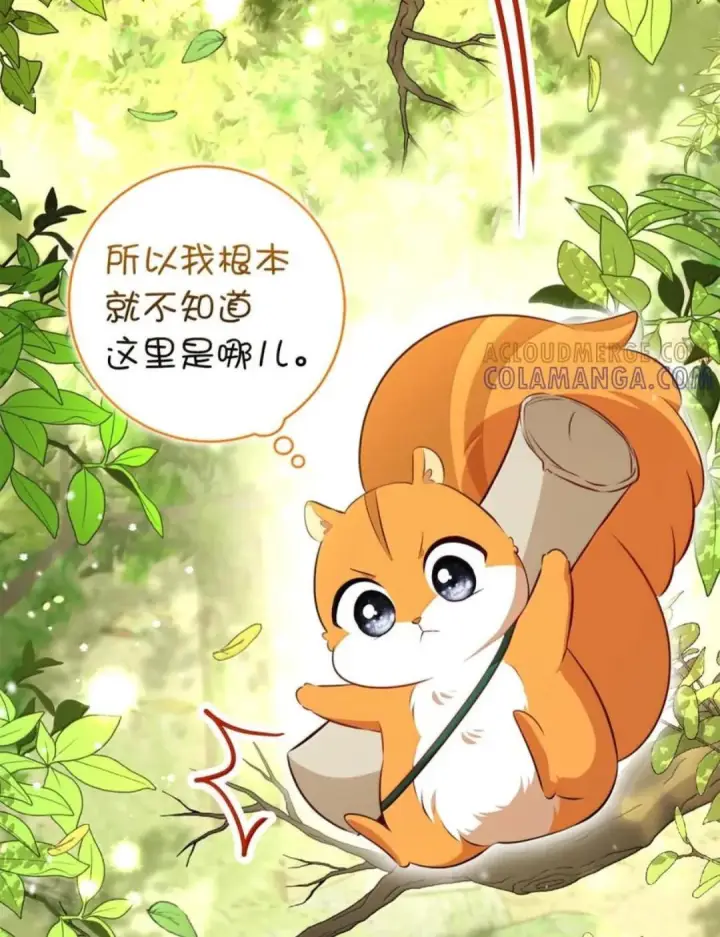 漫画《狮子公爵家的松鼠千金》106 查理公子和传闻不一样第12张图