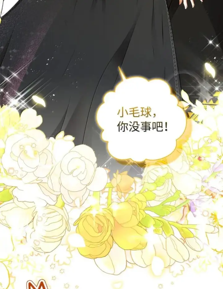 漫画《狮子公爵家的松鼠千金》106 查理公子和传闻不一样第65张图