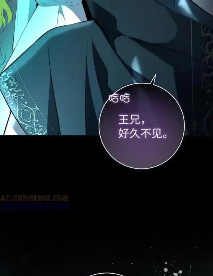 漫画《狮子公爵家的松鼠千金》108 竟敢伤害我的星星第15张图