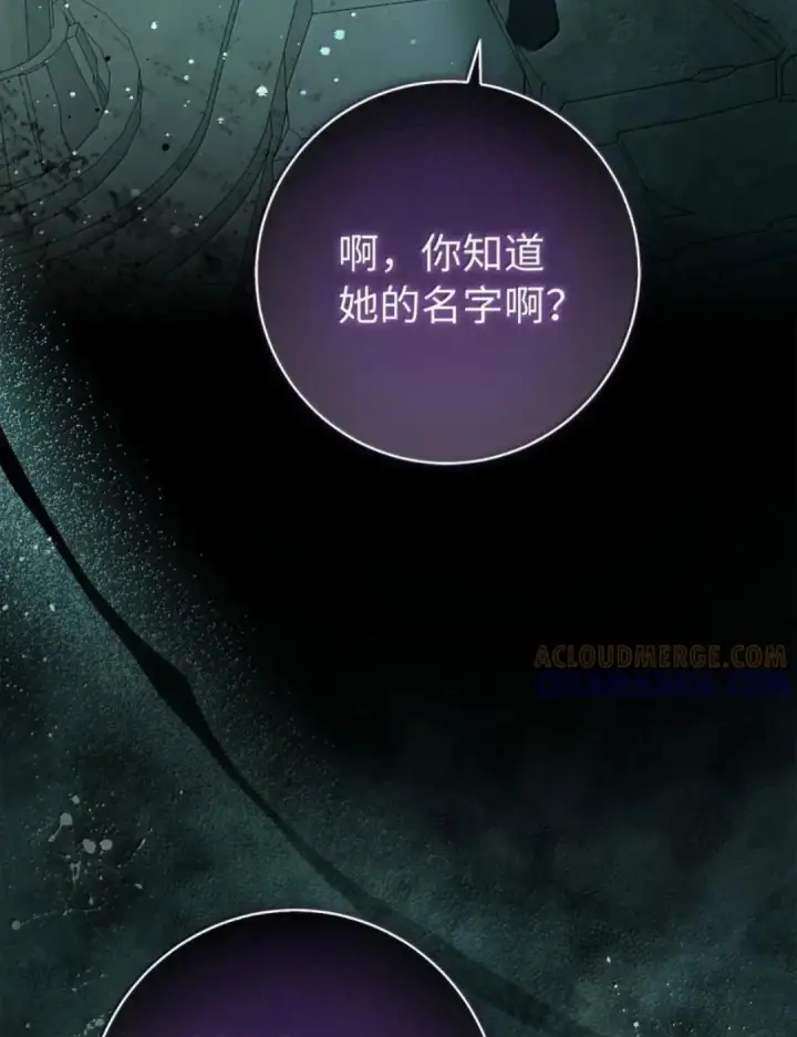漫画《狮子公爵家的松鼠千金》108 竟敢伤害我的星星第51张图