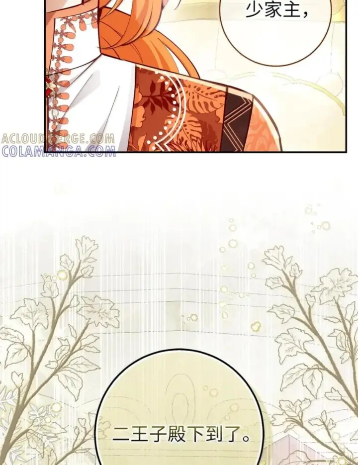漫画《狮子公爵家的松鼠千金》115 我要亲自报仇第94张图