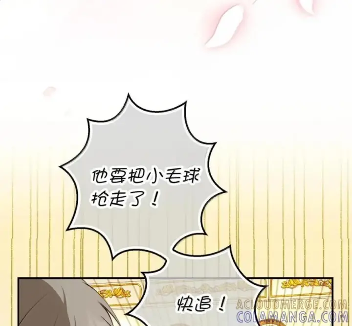 漫画《狮子公爵家的松鼠千金》119 要永远延续这份充实的幸福第169张图