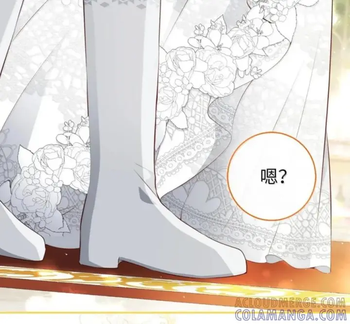 漫画《狮子公爵家的松鼠千金》番外1 我们的婚礼第105张图