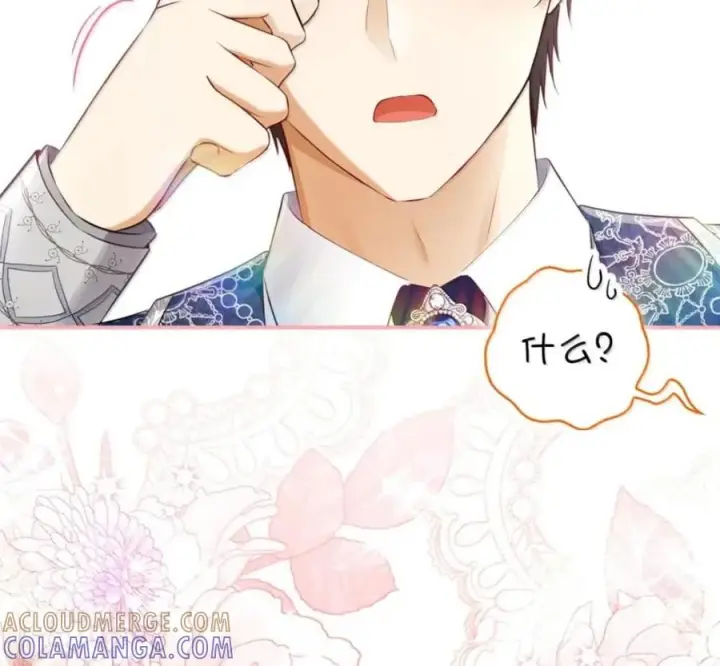 漫画《狮子公爵家的松鼠千金》番外1 我们的婚礼第133张图