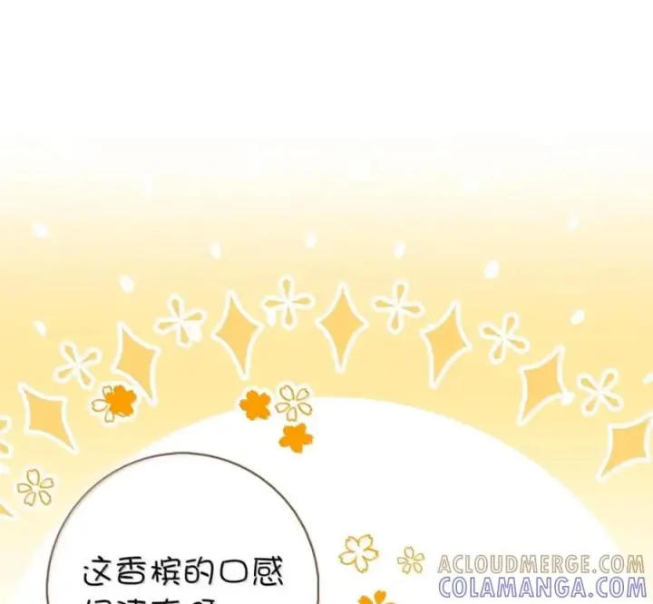 漫画《狮子公爵家的松鼠千金》番外1 我们的婚礼第149张图