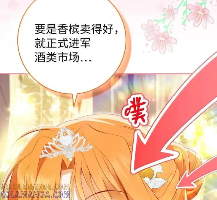 漫画《狮子公爵家的松鼠千金》番外1 我们的婚礼第161张图