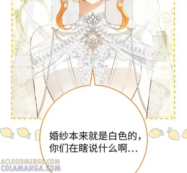 漫画《狮子公爵家的松鼠千金》番外1 我们的婚礼第21张图