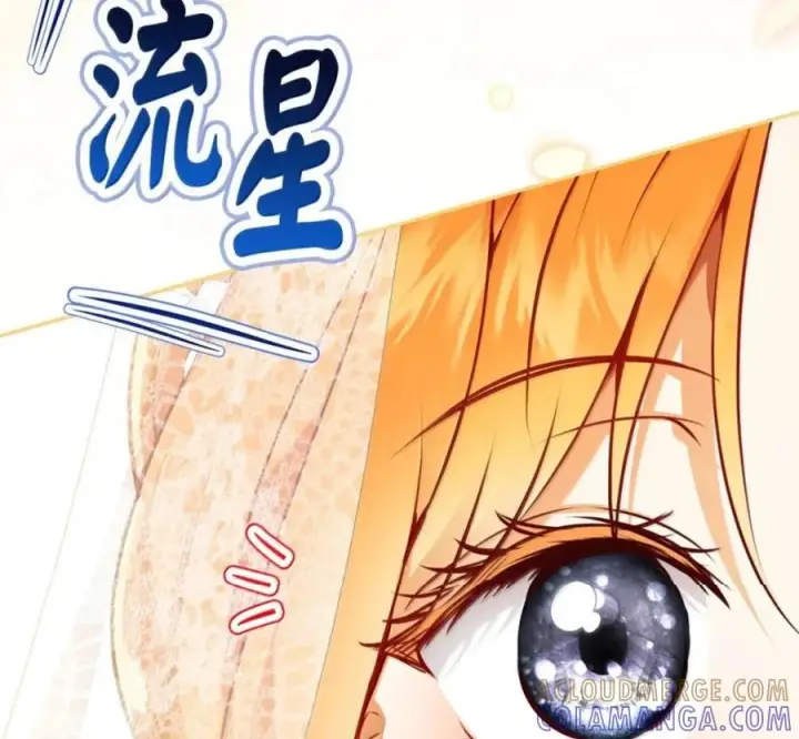 漫画《狮子公爵家的松鼠千金》番外1 我们的婚礼第81张图
