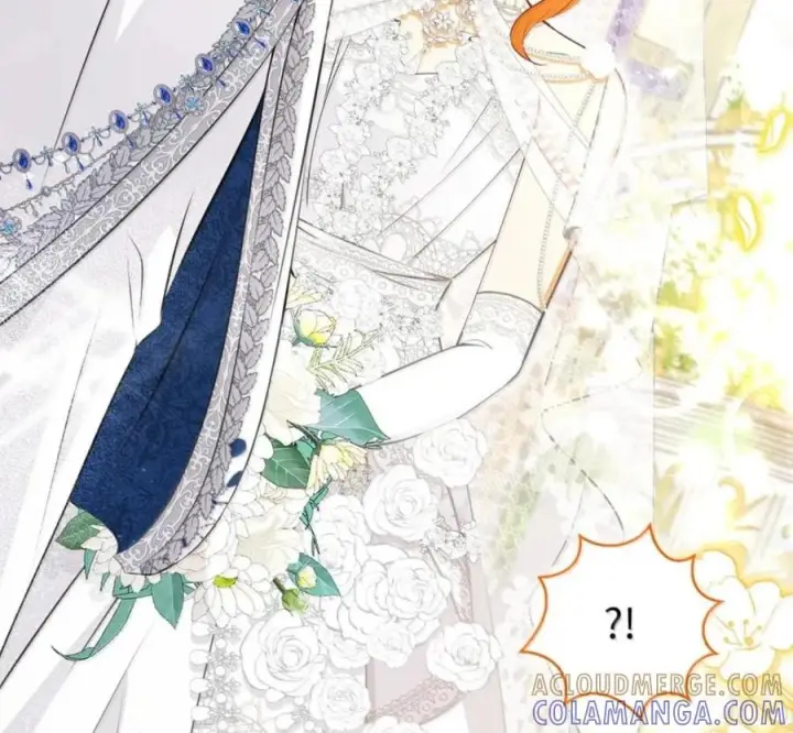 漫画《狮子公爵家的松鼠千金》番外1 我们的婚礼第85张图