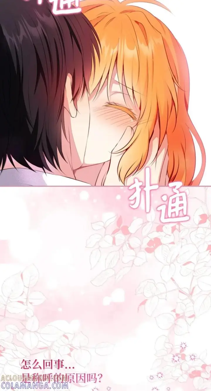 漫画《狮子公爵家的松鼠千金》番外2 能不能不要这么帅！第70张图
