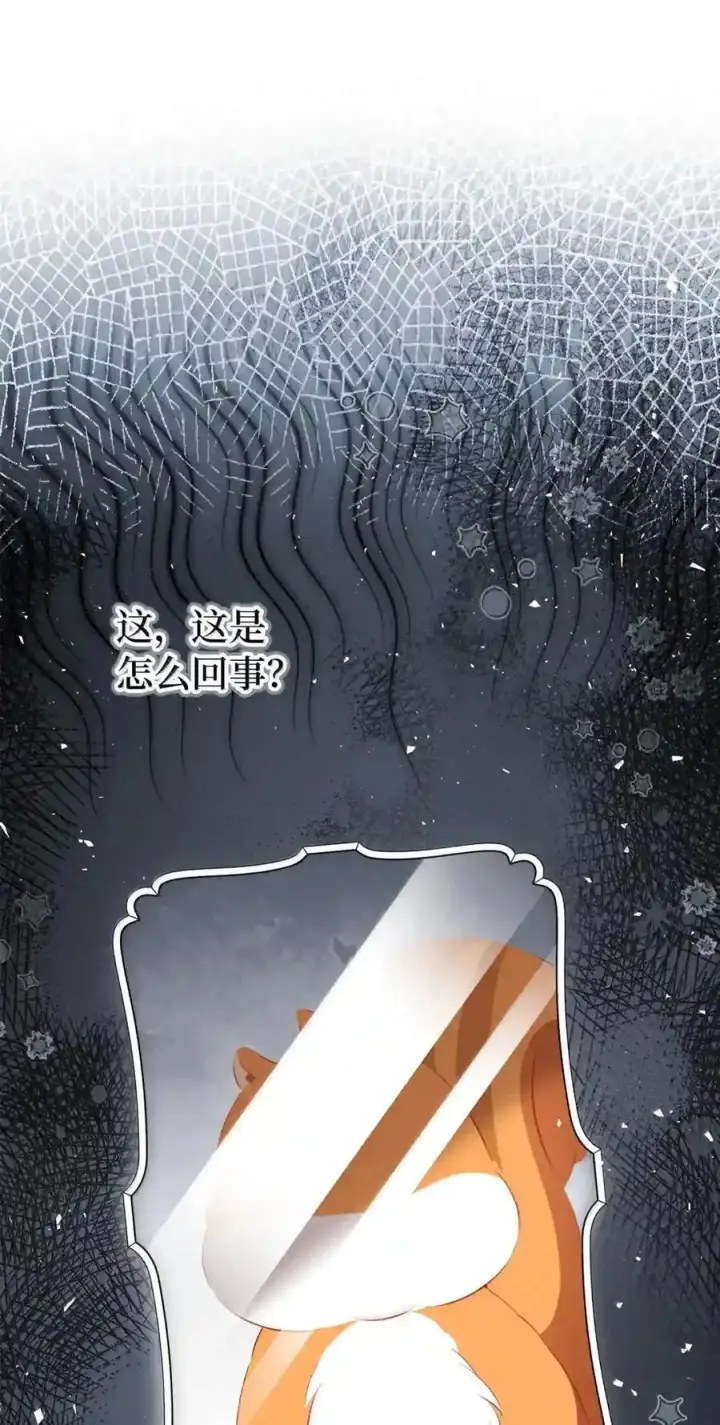 漫画《狮子公爵家的松鼠千金》番外3 我怎么变成这样了？！第237张图