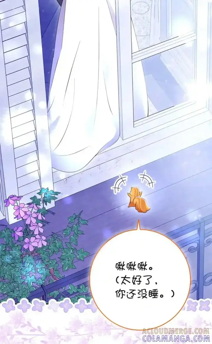 漫画《狮子公爵家的松鼠千金》番外4 你这样来见我也好第105张图