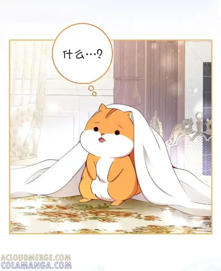 漫画《狮子公爵家的松鼠千金》番外4 你这样来见我也好第133张图