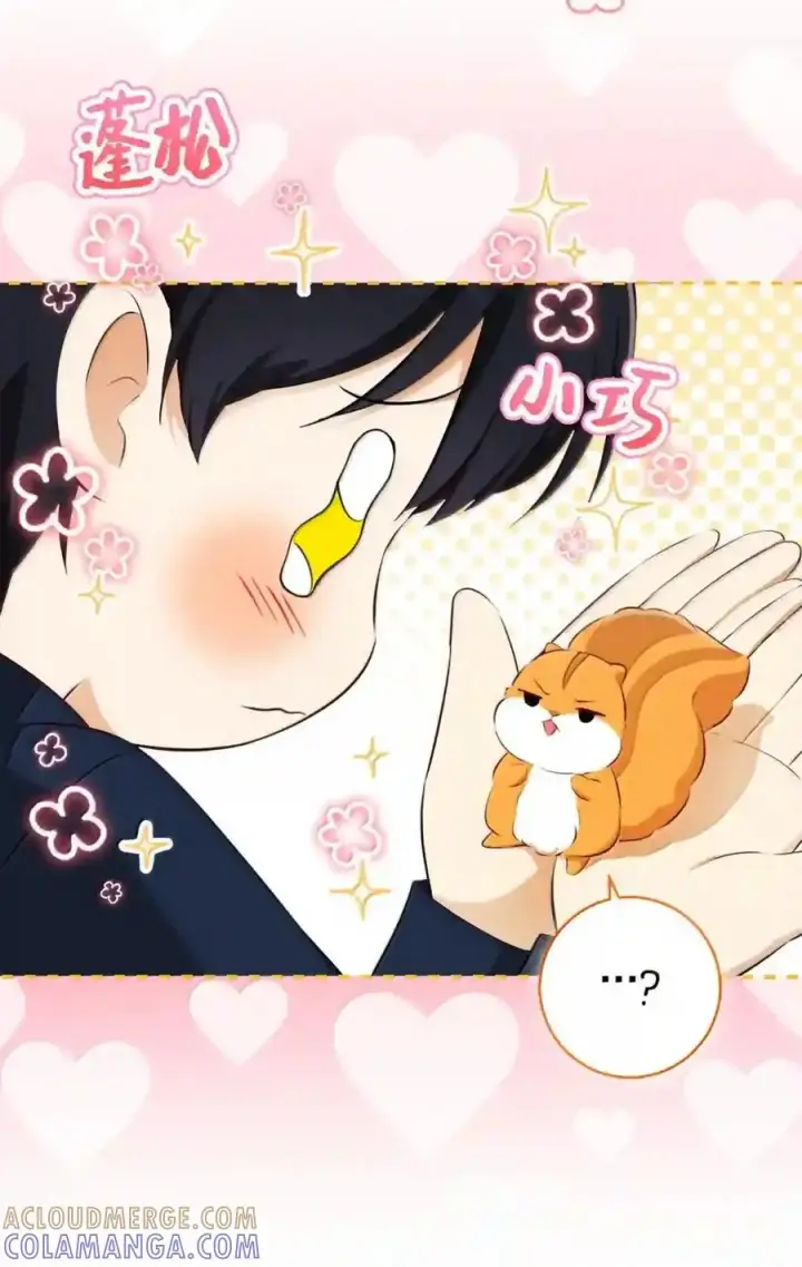 漫画《狮子公爵家的松鼠千金》番外4 你这样来见我也好第21张图