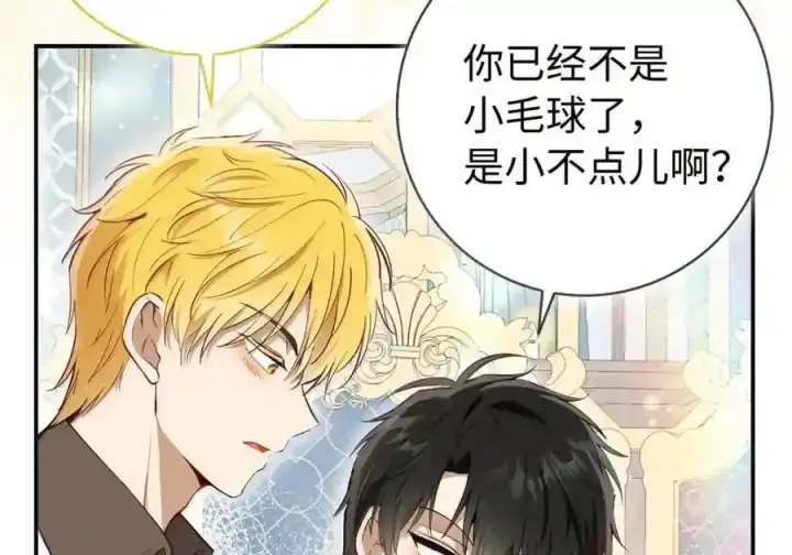 漫画《狮子公爵家的松鼠千金》番外4 你这样来见我也好第32张图